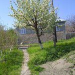Satılır 2 otaqlı Həyət evi/villa İsmayıllı 1