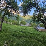 Satılır Torpaq Qəbələ 12