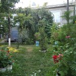 Kirayə (günlük) 2 otaqlı Həyət evi/villa Quba 14
