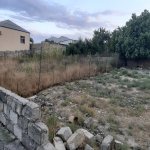 Satılır Torpaq, Saray, Abşeron rayonu 5