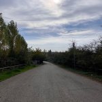 Satılır Torpaq İsmayıllı 8