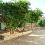 Satılır 4 otaqlı Həyət evi/villa, Mərdəkan, Xəzər rayonu 21