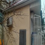 Satılır Obyekt, Əhmədli metrosu, Xətai rayonu 6