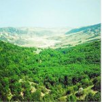 Kirayə (günlük) 3 otaqlı Həyət evi/villa Şamaxı 21