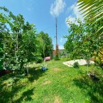 Kirayə (günlük) 4 otaqlı Həyət evi/villa İsmayıllı 12