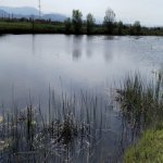 Продажа Участок Хачмаз 88