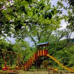 Kirayə (günlük) 1 otaqlı Bağ evi Zaqatala 10