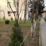 Продажа 2 комнат Вторичка, м. Халглар Достлугу метро, 8-ой километр, Университет Хазар, Низаминский р-н район 14