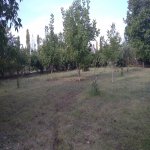 Satılır Torpaq Qəbələ 3