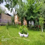Kirayə (günlük) 2 otaqlı Həyət evi/villa Qəbələ 10