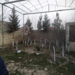 Kirayə (günlük) 1 otaqlı Bağ evi, Türkan, Xəzər rayonu 1