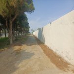 Satılır Torpaq, Saray, 28 Mall, Abşeron rayonu 4