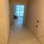 Аренда 2 комнатная Новостройка, м. Гянджлик метро, Наримановский р-н район 14