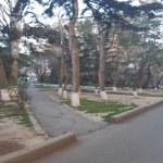 Kirayə (aylıq) 2 otaqlı Köhnə Tikili, Azadlıq metrosu, 8-ci mikrorayon, Binəqədi rayonu 22