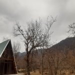 Kirayə (günlük) 1 otaqlı Bağ evi Zaqatala 7
