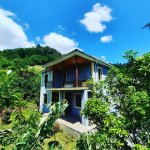 Kirayə (günlük) 5 otaqlı Həyət evi/villa Lerik 1