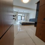 Kirayə (aylıq) 2 otaqlı Yeni Tikili, Nizami metrosu, Nəsimi rayonu 8
