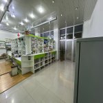 Kirayə (aylıq) Obyekt, Xalqlar dostluğu metrosu, Nizami rayonu 1