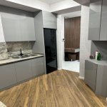 Kirayə (aylıq) 2 otaqlı Yeni Tikili, Nəriman Nərimanov metrosu, Nərimanov rayonu 7