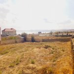 Satılır Torpaq, Saray, Abşeron rayonu 3