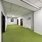 Kirayə (aylıq) 10 otaqlı Ofis, Nəsimi rayonu 15