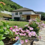Kirayə (günlük) 4 otaqlı Həyət evi/villa Lerik 2