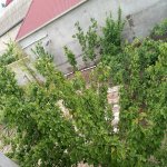Kirayə (aylıq) 5 otaqlı Bağ evi, Pirşağı qəs., Sabunçu rayonu 21