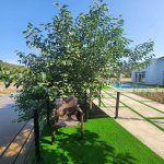 Kirayə (günlük) 2 otaqlı Həyət evi/villa Lənkəran 6