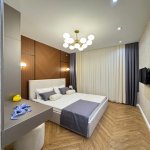 Kirayə (aylıq) 2 otaqlı Yeni Tikili, 28 May metrosu, Nəsimi rayonu 12