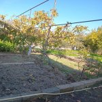 Satılır 5 otaqlı Həyət evi/villa Sumqayıt 15