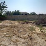 Satılır Torpaq, Novxanı, Abşeron rayonu 2