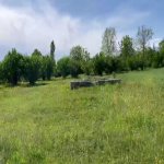 Satılır Torpaq Qəbələ 2