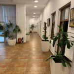Kirayə (aylıq) 5 otaqlı Ofis, Xətai metrosu, Xətai rayonu 14