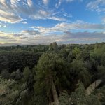 Продажа 3 комнатная Новостройка, Сябаиль район 8