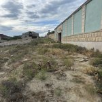 Satılır Torpaq, Fatmayi, Abşeron rayonu 2