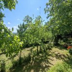 Kirayə (günlük) 2 otaqlı Bağ evi Qəbələ 7