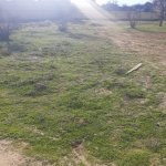 Satılır Torpaq, Goradil, Abşeron rayonu 8