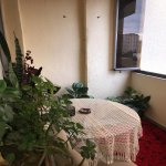 Kirayə (aylıq) 3 otaqlı Yeni Tikili, Nəriman Nərimanov metrosu, Böyükşor qəs., AGA Business Center, Nərimanov rayonu 19