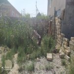 Satılır Torpaq, Masazır, Abşeron rayonu 2