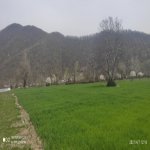 Satılır Torpaq Qəbələ 2