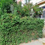 Satılır 3 otaqlı Köhnə Tikili, Zığ qəs., Suraxanı rayonu 5