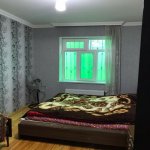 Kirayə (günlük) 4 otaqlı Həyət evi/villa Qəbələ 10