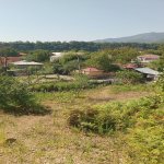 Satılır Torpaq Qəbələ 1