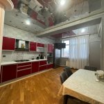 Kirayə (aylıq) 3 otaqlı Yeni Tikili, Nəriman Nərimanov metrosu, Nərimanov rayonu 18