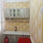 Kirayə (aylıq) 3 otaqlı Həyət evi/villa, 28 May metrosu, Nəsimi rayonu 13