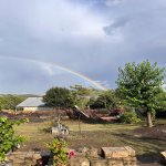 Satılır Torpaq İsmayıllı 6