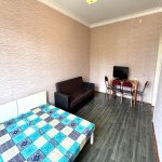 Аренда 1 комнатная Вторичка, м. 28 Мая метро, Насими район 2