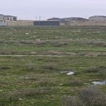 Satılır Torpaq, Saray, Abşeron rayonu 13