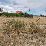 Satılır Torpaq Şamaxı 4