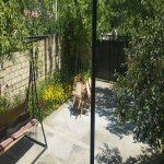 Посуточно 3 комнат Дача Гусар 4